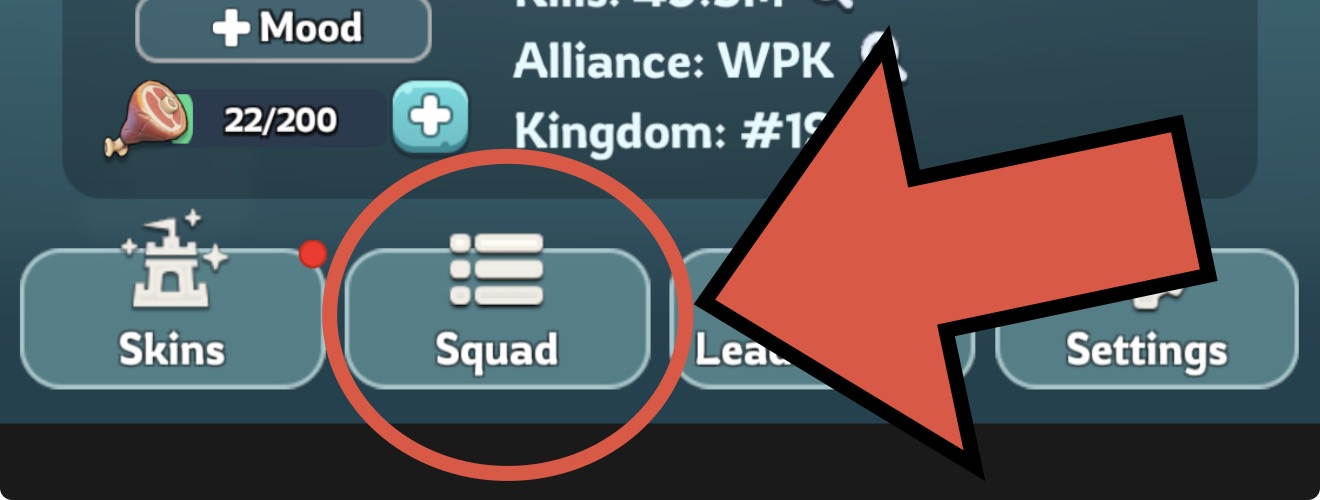 Squad button circled on the player profile